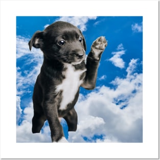 Black puppie Posters and Art